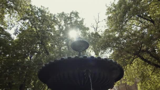 Fontanna Wodna Letnim Słońcu Przynosi Świeżość Woda Świeci Podświetleniu Tle — Wideo stockowe