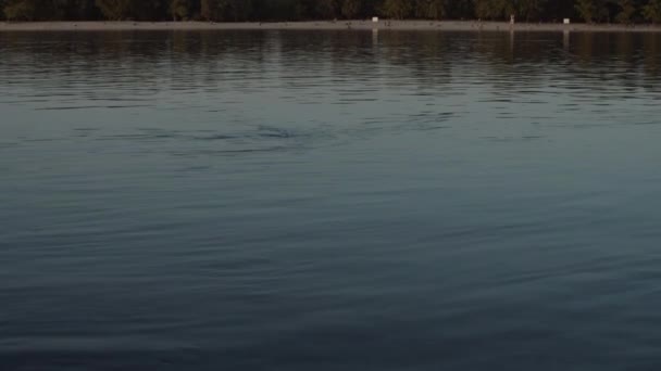 Dnipro河的全景录像黄昏时分Uhd实时视频 — 图库视频影像
