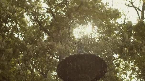 Летом Фонтана Льется Вода Подсветка Освещает Воду Фонтане — стоковое видео