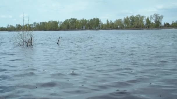 江波映衬着蓝天 德涅斯特河的海滩 — 图库视频影像