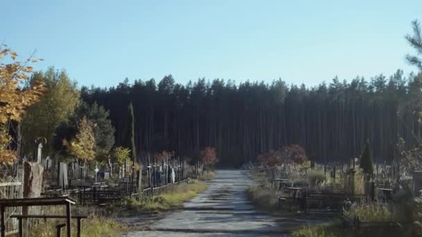 Gran Cementerio Día Soleado Medio Del Bosque — Vídeos de Stock