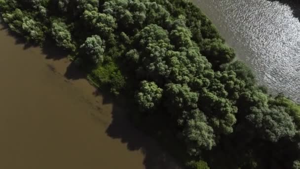 Video Drone Panoramico Una Piccola Isola Forestale Mezzo Fiume — Video Stock
