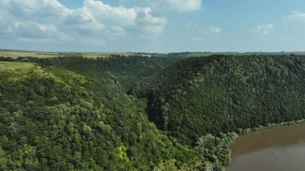 Enormes Colinas Que Elevam Acima Desfiladeiro Rio Estão Cobertas Árvores — Vídeo de Stock