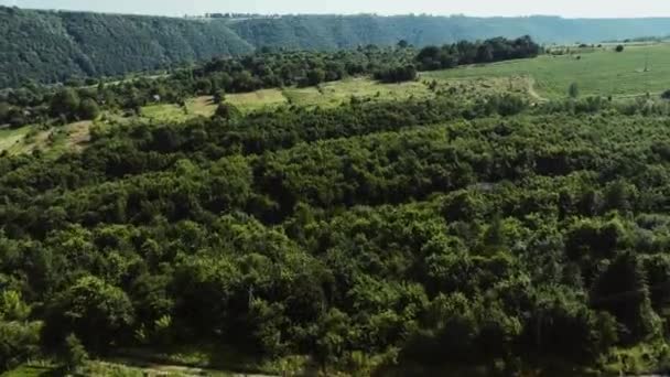 Uma Vista Canyon Pitoresco Rio Dia Ensolarado Verão Drone — Vídeo de Stock