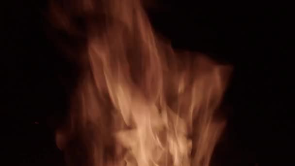 Siyah Arkaplanda Ateş Alevleri — Stok video