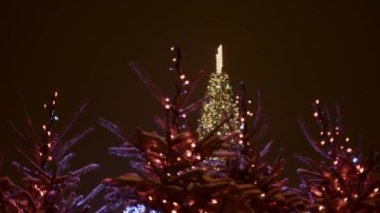 Şehir merkezindeki sıcak akşam ışıklarında kocaman parlak bir Noel ağacı parlıyor.