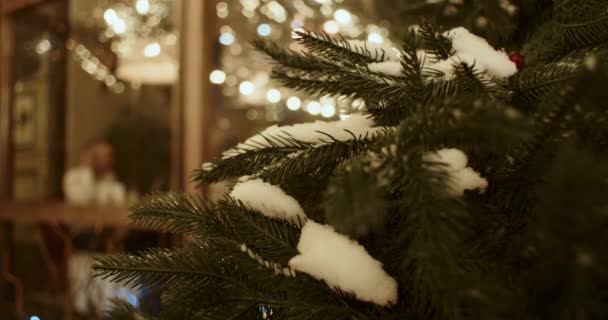 Close Ramos Verdes Uma Árvore Natal Coberta Neve Cidade Noite — Vídeo de Stock
