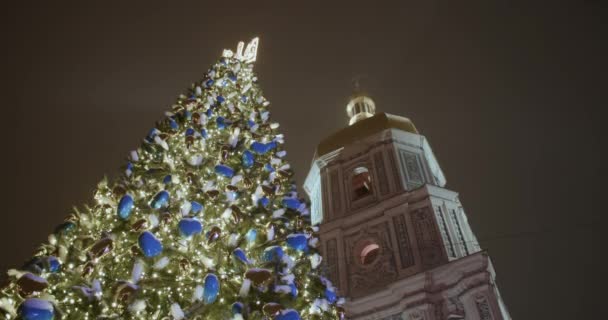 Uma Árvore Natal Brilhante Fundo Santa Sofia Noite — Vídeo de Stock