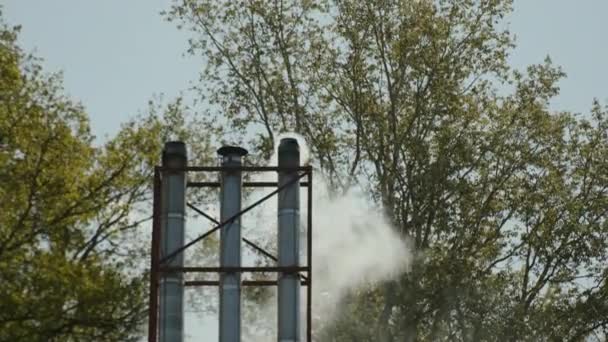 夏の緑の木の背景にある金属煙突から来る厚い灰色の煙 大気汚染のシンボルとして — ストック動画