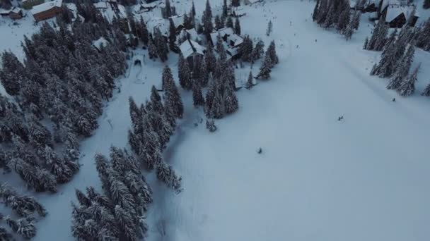 小山村附近覆盖着积雪的冬季森林的空中景观 — 图库视频影像
