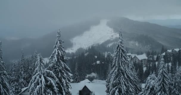 Bela Paisagem Inverno Montanhas Com Floresta Densa Coberta Neve — Vídeo de Stock