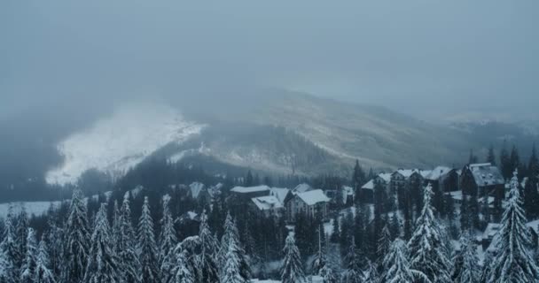 Όμορφο Χειμερινό Τοπίο Των Βουνών Πυκνό Δάσος Καλυμμένο Χιόνι Χωριό — Αρχείο Βίντεο