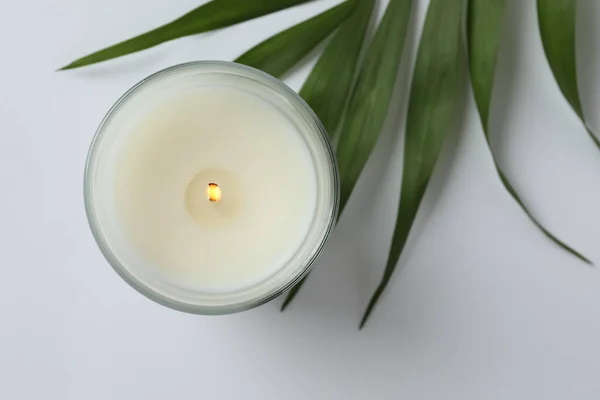 White Candle Green Leaves Grey Background — Stock Photo, Image