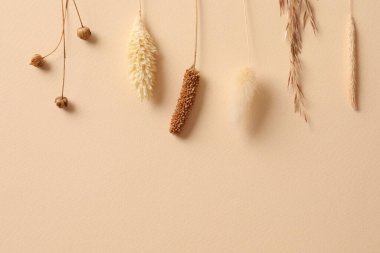 Beyaz pamuklu kulaklar ve bej arka planda kuru çiçekler..