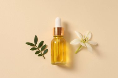 Taze yağ ve okaliptüs dallarıyla dolu bir şişe.