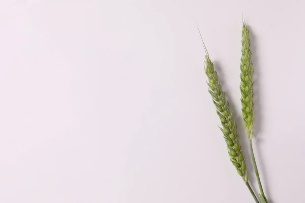 Grüner Reis Auf Weißem Hintergrund Nahaufnahme — Stockfoto