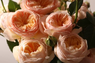 Bir buket güzel çiçek.