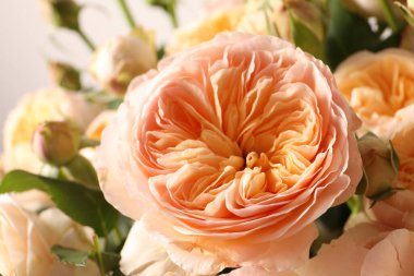 Güzel bir buket çiçek.