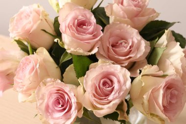 Beyaz arka planda vazoda pembe gül buketi