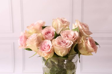 Beyaz arka planda güzel taze güller.