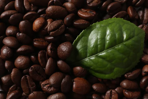 roasted coffee beans and coffee leaf on white background, close - up