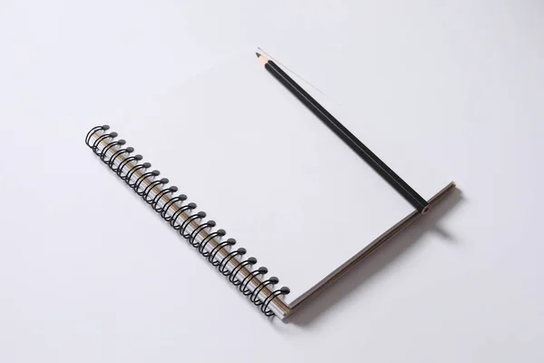 Open Notitieboekje Met Een Pen Een Witte Achtergrond — Stockfoto