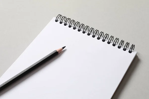 Блокнот Ручкою Білому Тлі — стокове фото