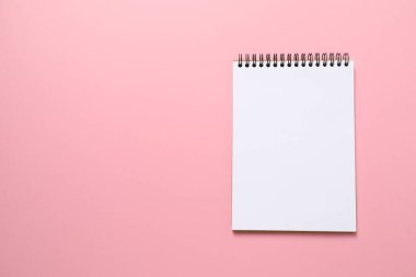 Renkli arkaplanda beyaz gladiolus