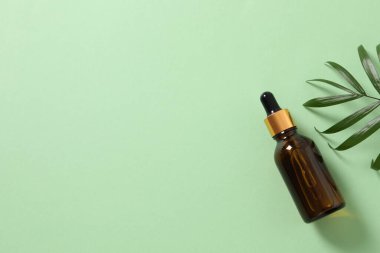 okaliptüs dalları ve okaliptüs yapraklı şişe