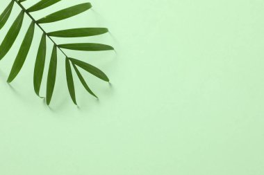 metin alanı olan beyaz zemin üzerine yeşil yaprakları