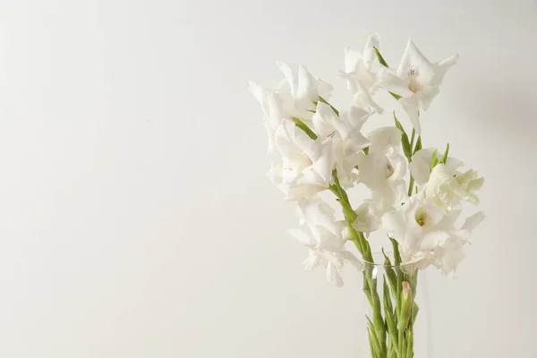 Flor Lirio Blanco Sobre Fondo Blanco Tarjeta Floral Espacio Copia —  Fotos de Stock