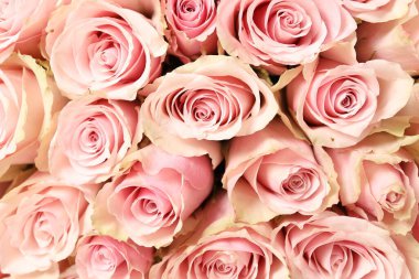 Güzel pembe gül buketi