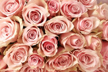 Güzel pembe gül buketi