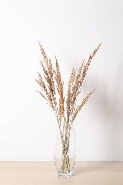 Masadaki vazoda kurumuş çiçekler.