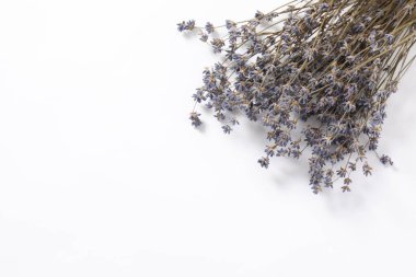 Kurutulmuş lavanta çiçekleri, metin için boşluk 