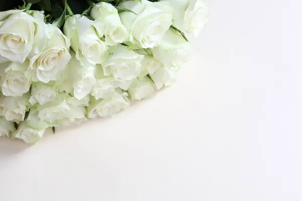 Розы Белом Фоне — стоковое фото