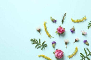 Açık mavi arkaplanda çiçekleri olan güzel kompozisyon