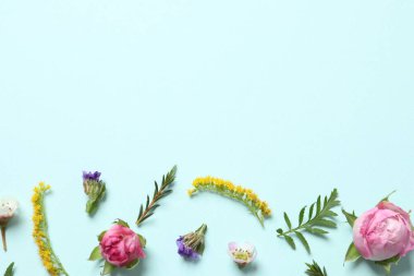 Renkli arka planda çiçek açan güzel bir kompozisyon. Metin için boşluk