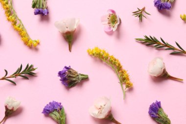 Renk arka planında güzel bahar çiçekleri olan düz bir kompozisyon