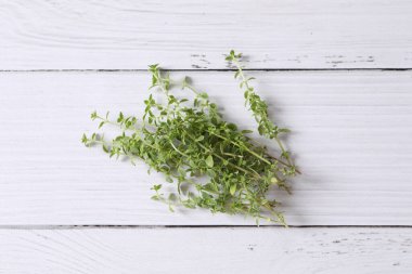 Beyaz arkaplanda taze yeşil kekik