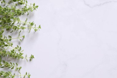 yeşil bitki mermer arka planda