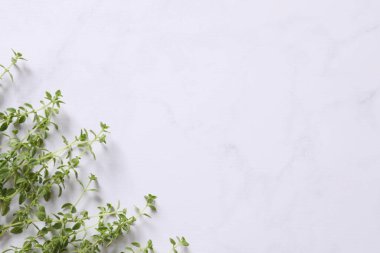 Beyaz mermer dokuda kekik.