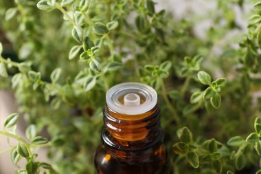 Ahşap arka planda taze biberiye yağı