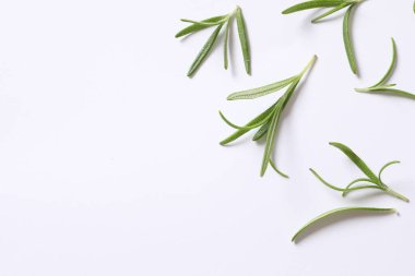 beyaz arkaplan üzerinde yeşil biberiye dalları ile düz konum, metin için boşluk