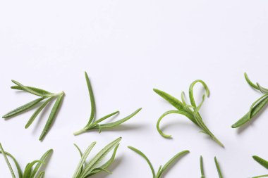 Beyaz arka planda taze yeşil otlar