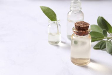 Taze nane yapraklı gerekli yağ şişesi.