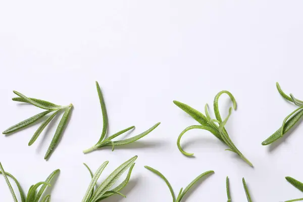 Fresh Green Herbs White Background — Stock Photo, Image