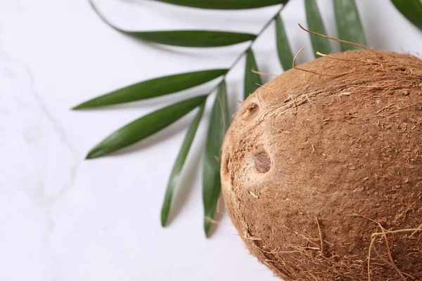 白色大理石背景的新鲜椰子 — 图库照片
