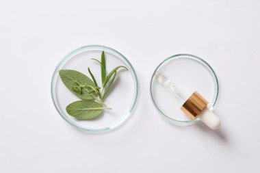 Beyaz arka planda doğal kozmetik ürünleri ve doğal bitkilerin üst görünümü