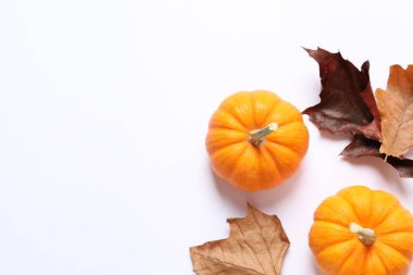 Turuncu arkaplanda Cadılar Bayramı balkabağı kompozisyonu.